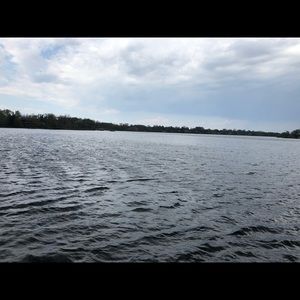 Meet your Posher, Wayne